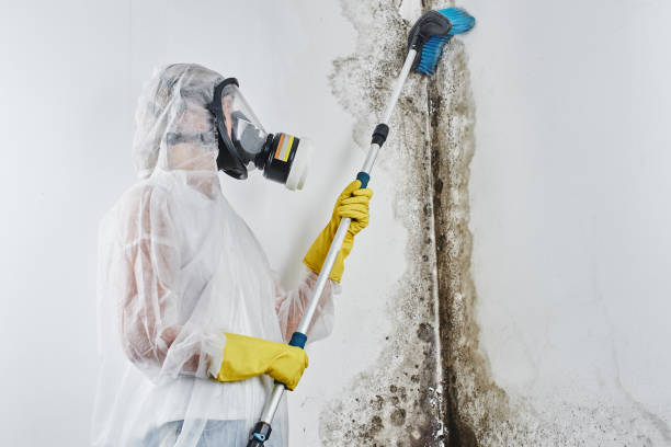 Best HVAC Mold Remediation in Dane, WI